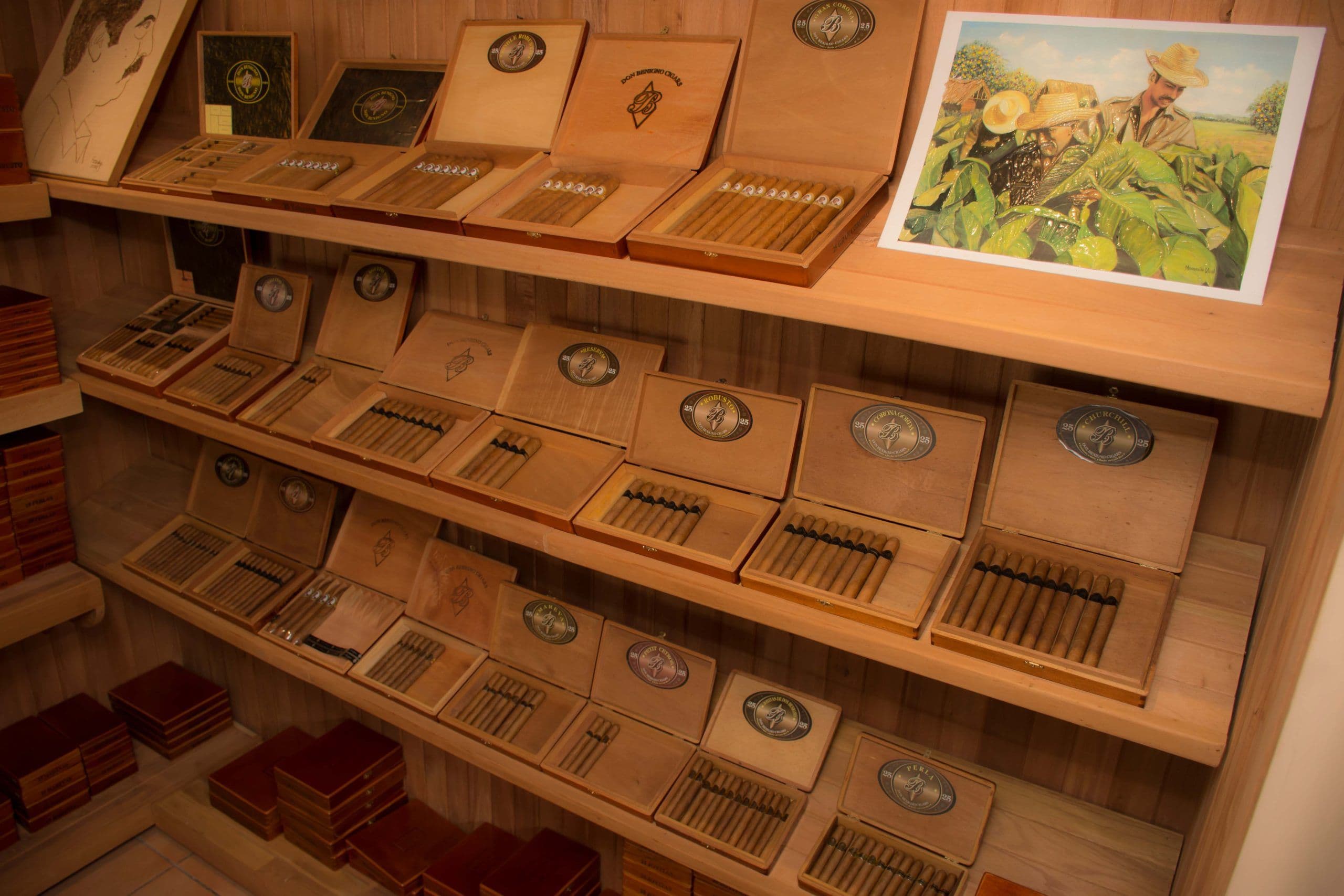 Don Benigno Cigars (Online Store)